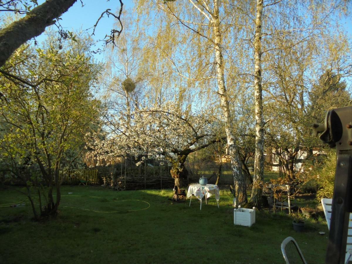 Hundefreundliches Zimmer Wustermark Bagian luar foto